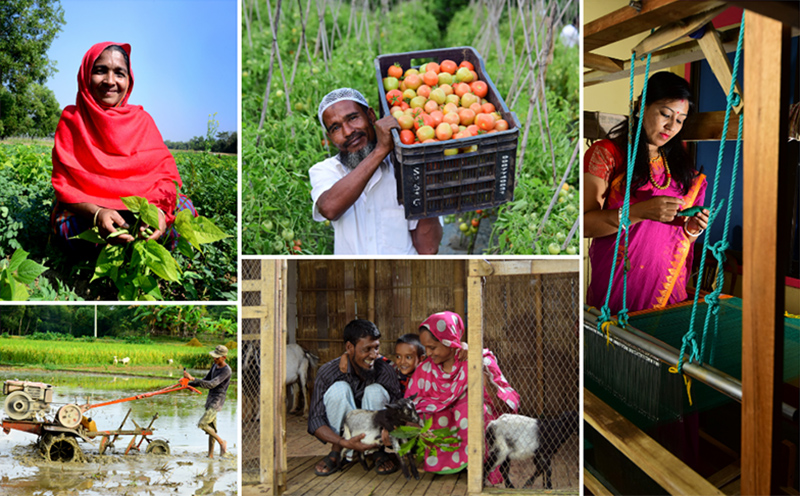 A collage of images, a farmer showing young plants, a man carrying a box of tomatos, another plowing a rice paddy, a family with goats