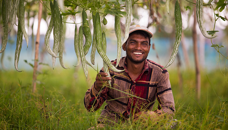 a smiling farmer holding a snake gourd fruit hanging from a vine