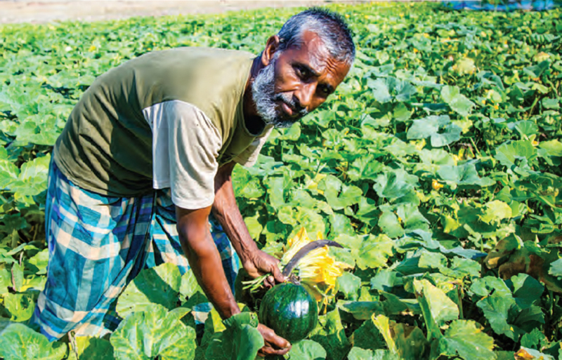 a farmer holding a water melon in the field