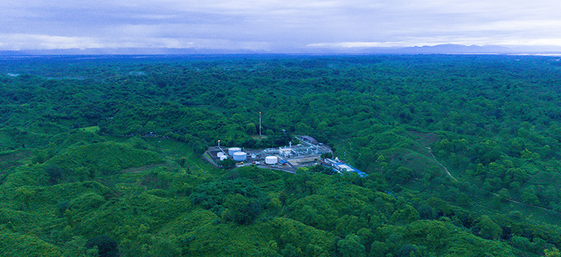 facility in the midst of a rain forest