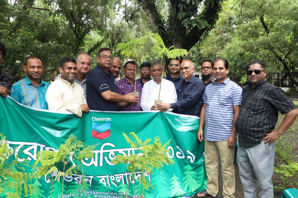 World environment day tree plantation drive